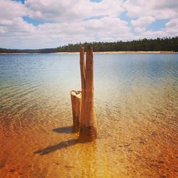 Wooden posts on beach against sky