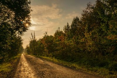 Dirt road amidst trees against sky