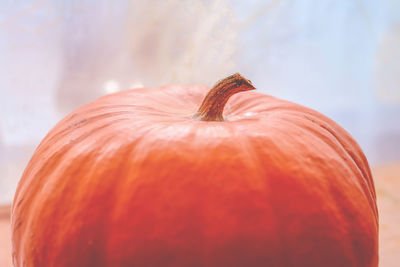 Big pumpkin close up, thanksgiving and halloween celebration, autumn harvesting