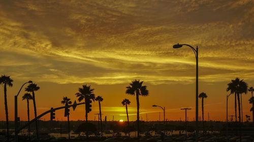 Silhouette palm trees on street against orange sky