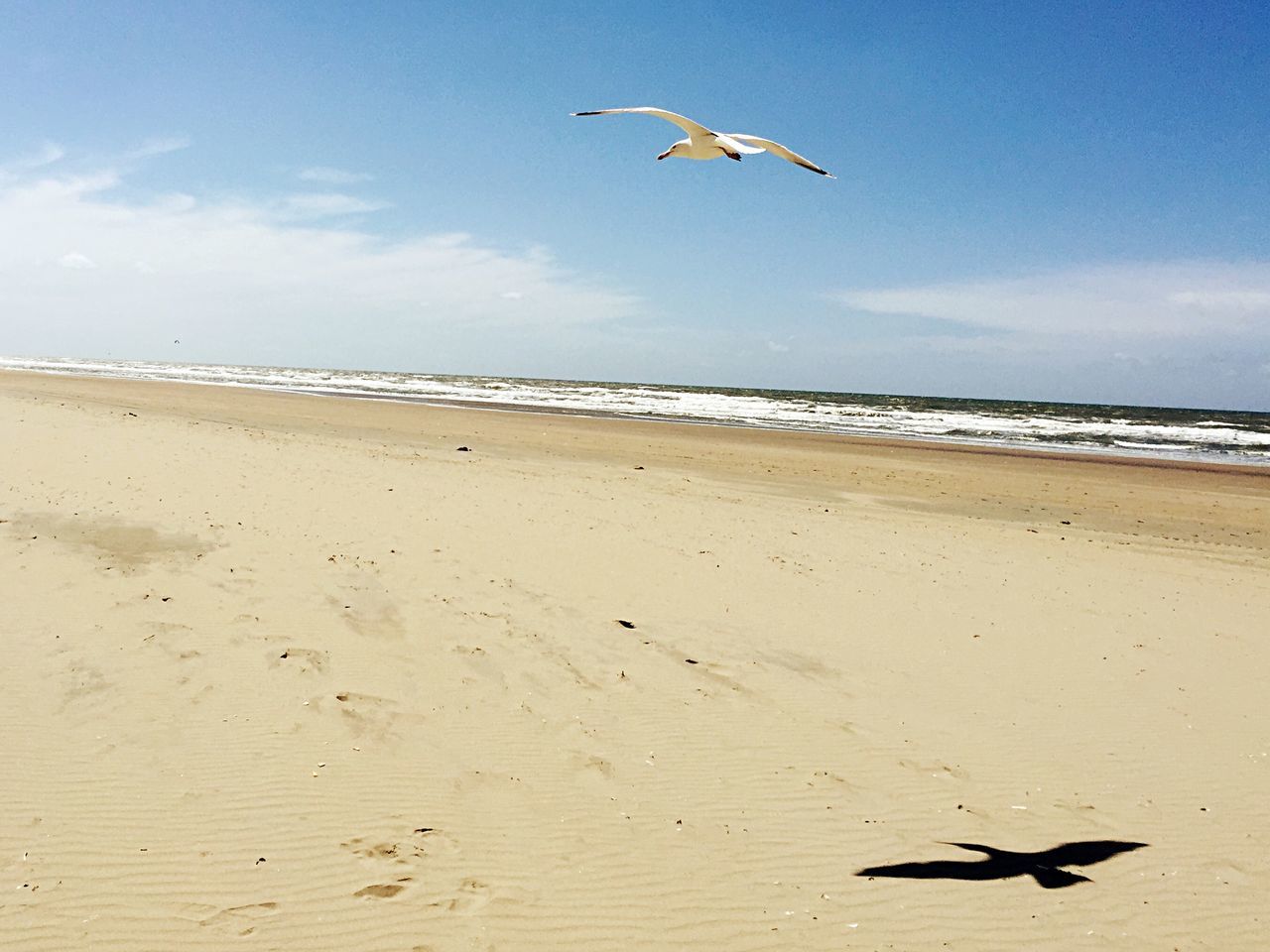 Kennemerduinen, Bloemendaal