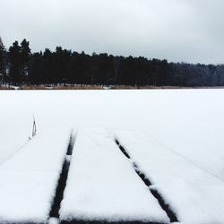 Snow covered landscape