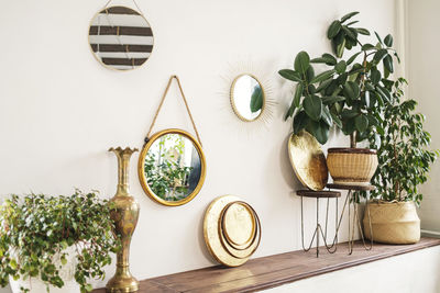 Potted plant on table
