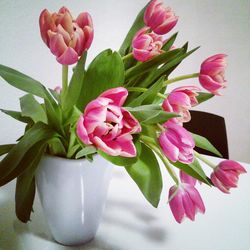 Close-up of pink flowers