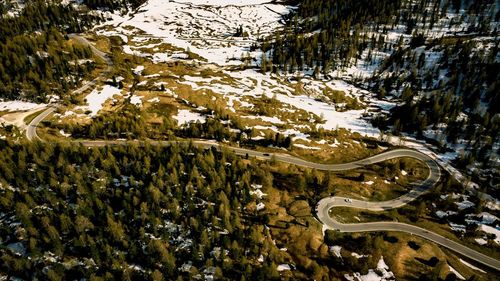 High angle view of trees on snow covered landscape