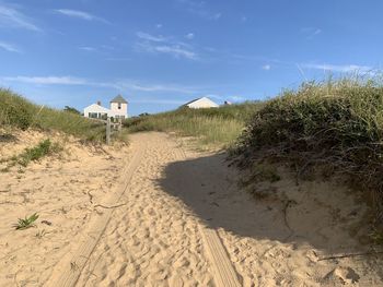 Plants on beach against sky