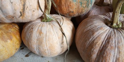High angle view of pumpkins for sale at market stall