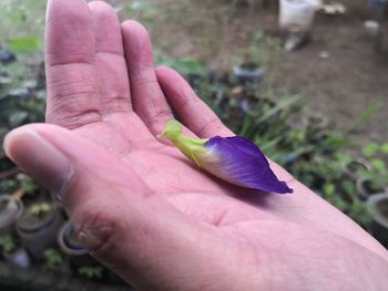 Close-up of human hand