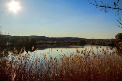 Scenic view of lake against clear sky