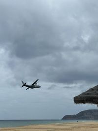 flying