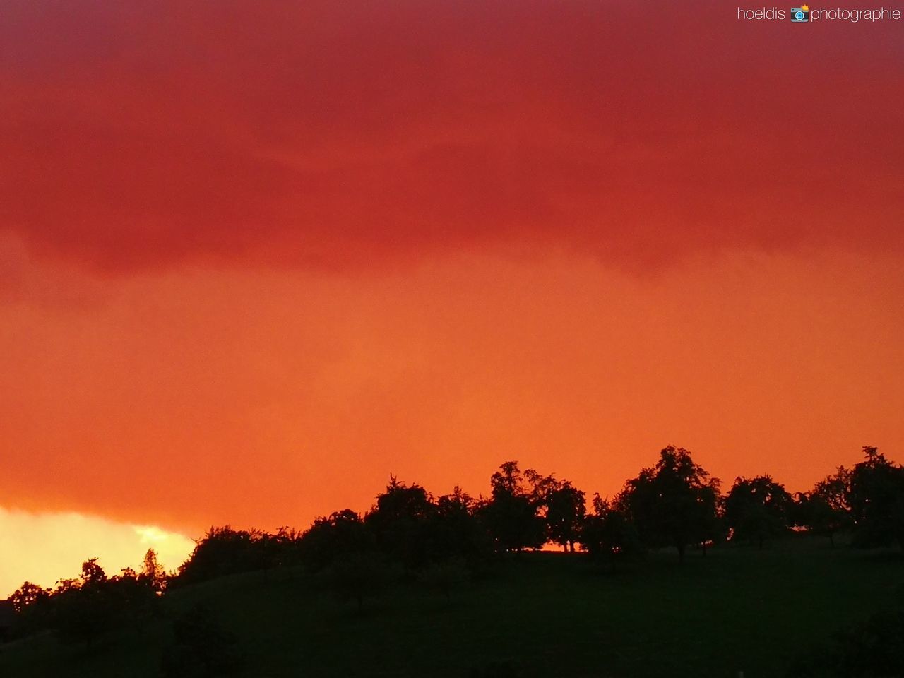 sunset, tree, orange color, beauty in nature, nature, scenics, tranquil scene, tranquility, silhouette, outdoors, no people, landscape, sky, growth, field, grass, day