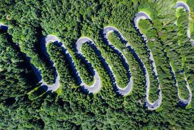 Aerial view of road amidst trees