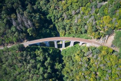 High angle view of bridge and trees in forest