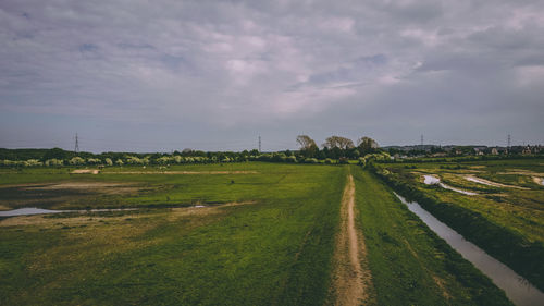 Scenic view of field against sky