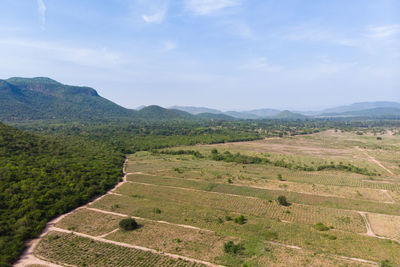 Scenic view of agricultural field against sky