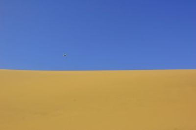 Low angle view of bird flying against clear blue sky