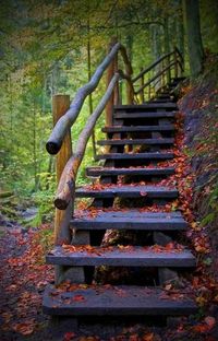 Rusty metal structure in forest