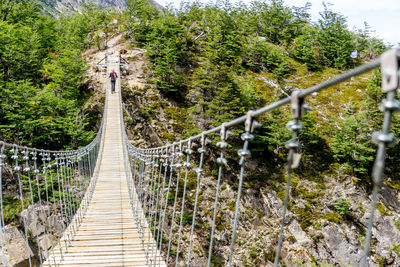 Footbridge in a forest