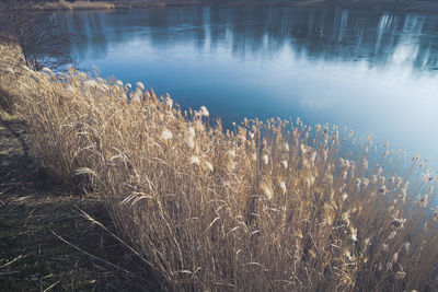 Scenic view of lake