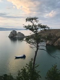 High angle view of tree by sea against sky