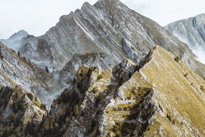 Low angle view of rocky mountains during winter