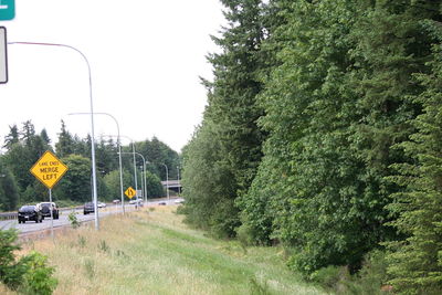 Car on road