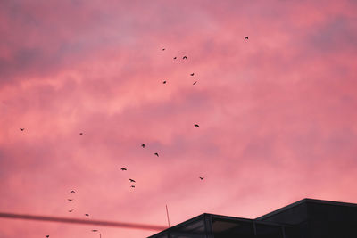 Low angle view of bird flying against cloudy sky
