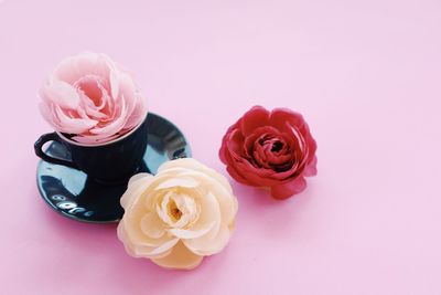 Close-up of pink roses against white background