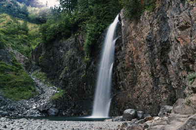 Scenic view of waterfall in forest