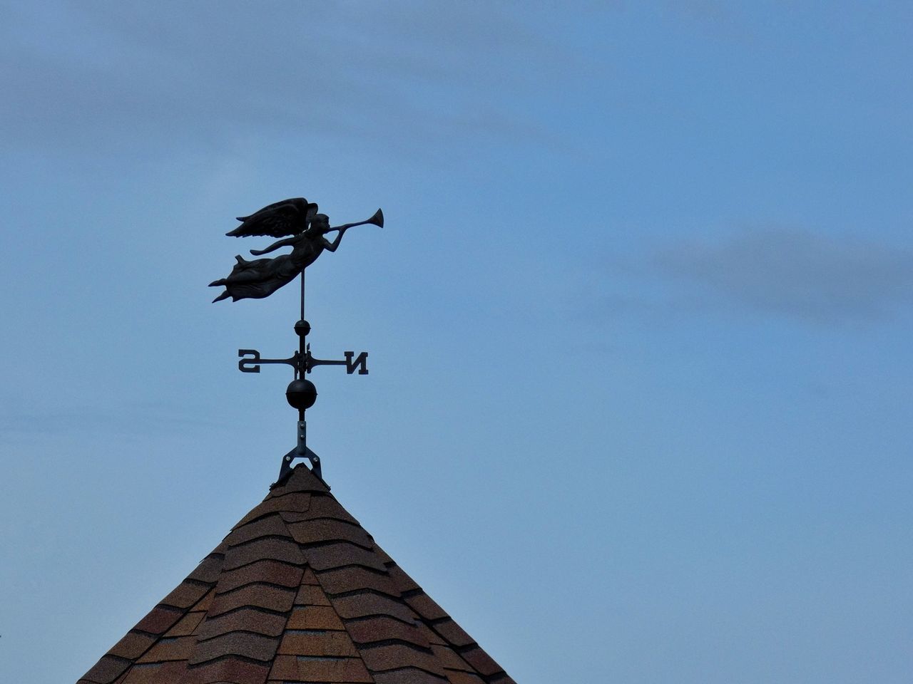 bird, sky, animal themes, animal, low angle view, architecture, weather vane, roof, vertebrate, building exterior, nature, no people, built structure, animal wildlife, animals in the wild, direction, day, guidance, building, outdoors, roof tile, spire