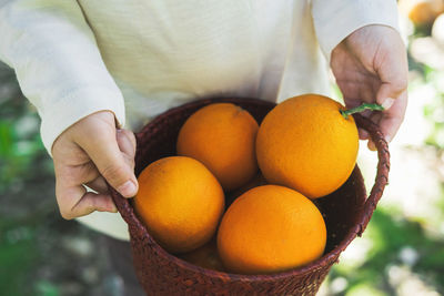 Wicker basket with ripe oranges in children's hands.