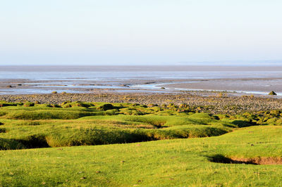 Scenic view of sea against clear sky