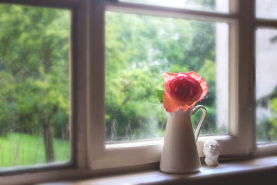 Close-up of rose in vase on window sill