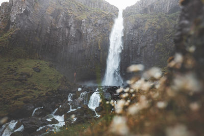 Close-up of waterfall in forest