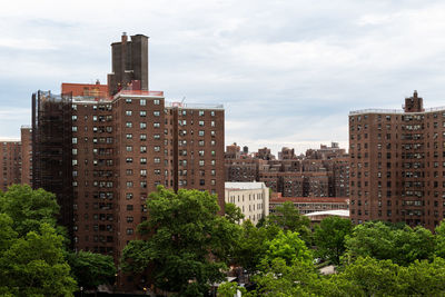 Trees and buildings against sky