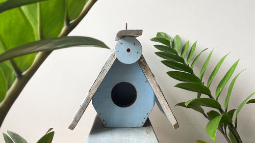 Close-up of birdhouse on wall