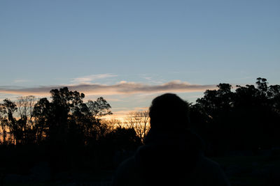 Rear view of silhouette man against trees during sunset