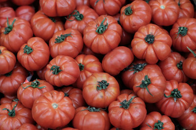 Full frame shot of tomatoes