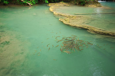 High angle view of lake