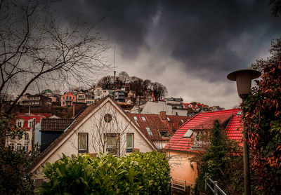 Trees and houses against sky