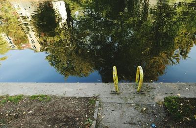 Reflection of trees in lake