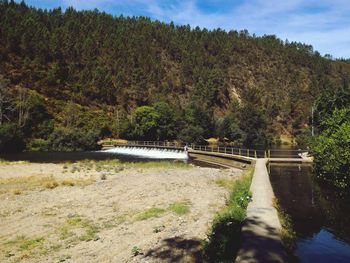 Bridge over river amidst trees against sky