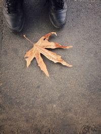 Close-up of dry leaf on road