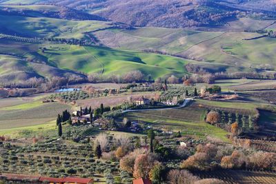 High angle view of agricultural field
