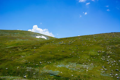 Scenic view of field against blue sky