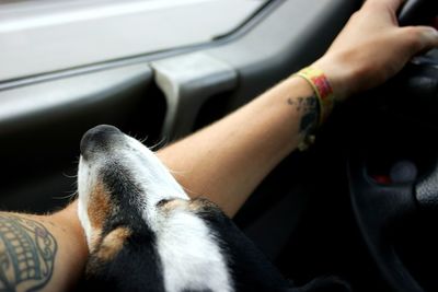 Low section of man with dog on car