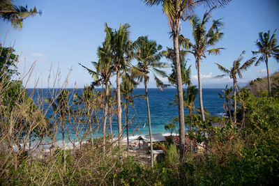 Scenic view of calm sea against sky