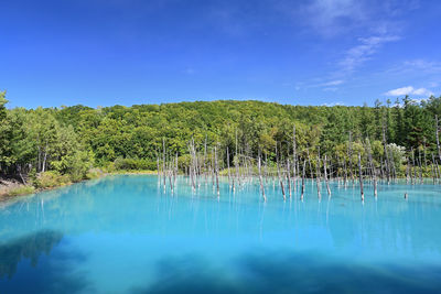 Scenic view of lake against blue sky