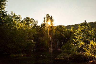 Scenic view of lake amidst trees in forest against sky