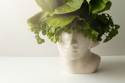 Head-shaped vase with lettuce and parsley. the concept of healthy eating and healthy thinking. 